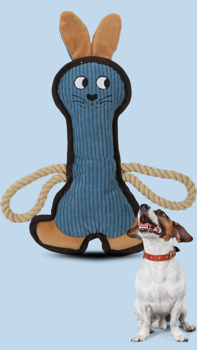 Hračka pes BUDDY králík modrá Zolux