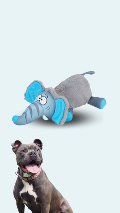 Hračka pes FRIENDS YVAN ELEPHANT ZOLUX