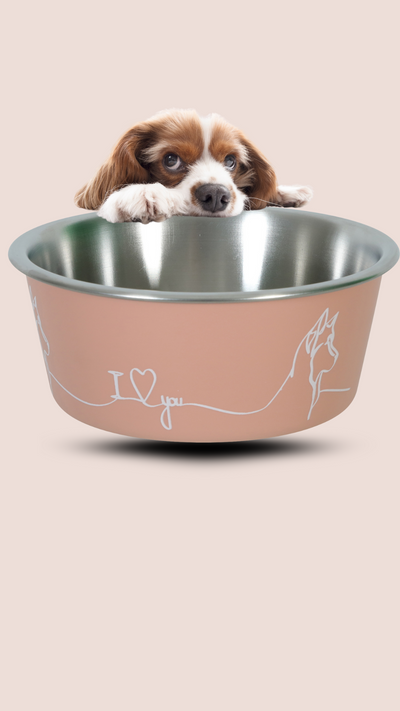 Miska nerez pes LOVE DOG 1,7l růžová Zolux