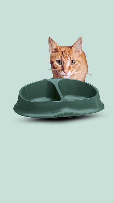 Miska plast dvojmiska SMART 2x0,25l zelená Zolux