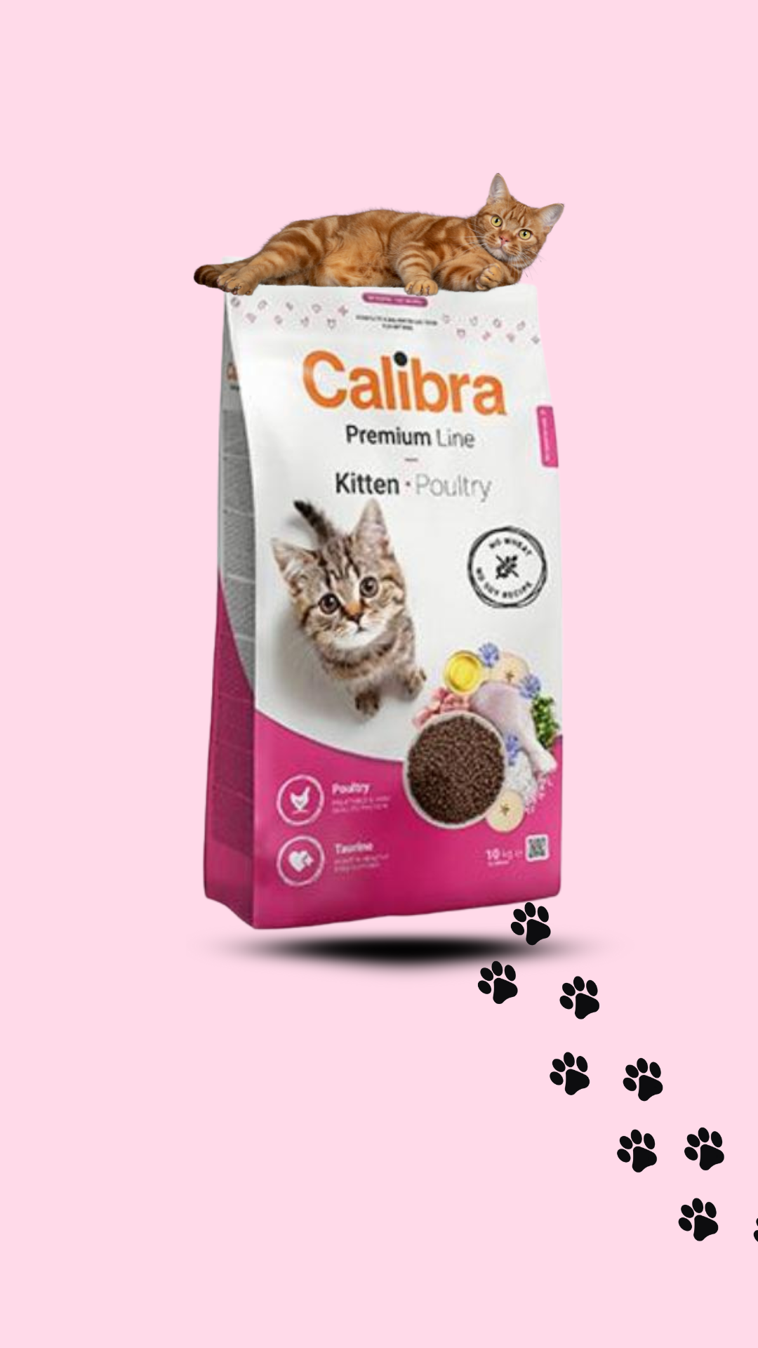 Calibra Cat Premium Line Kitten Poultry- granule pro koťata s drůbežím