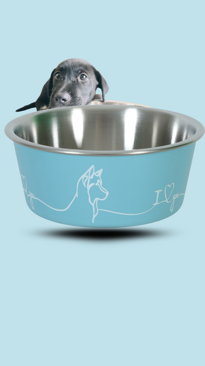 Miska nerez pes LOVE DOG modrá Zolux