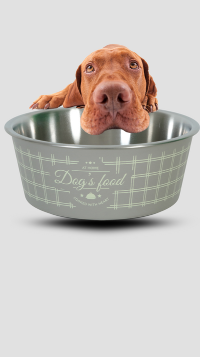 Miska nerez pes FOOD DOG 750ml hnědá Zolux