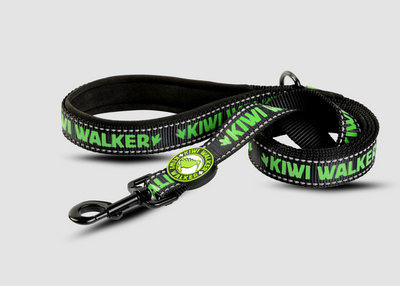 Nylonové vodítko KIWI 150 cm / 3 cm – pevnost, styl a komfort pro vašeho psa
