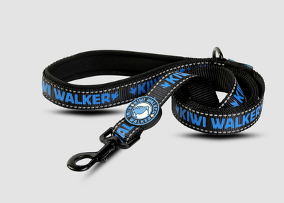Kiwi nylonové vodítko 150 cm x 3 cm – styl, pevnost a pohodlí pro vašeho mazlíčka