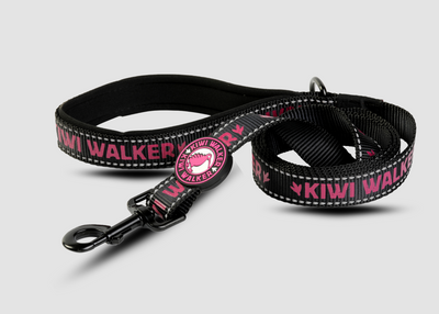 Kiwi nylonové vodítko 150 cm x 3 cm – styl, pevnost a pohodlí pro vašeho mazlíčka