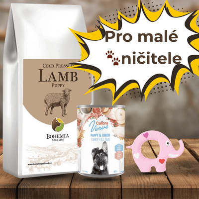 🐾Startovací sada pro roztomilé ničitele🐾