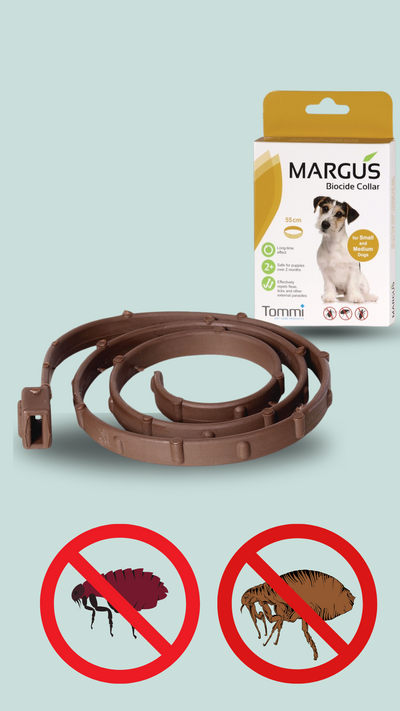 Margus Biocide antiparazitární obojek pes  55cm