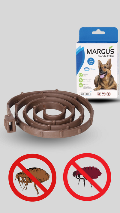 Margus Biocide antiparazitární obojek pes  70cm