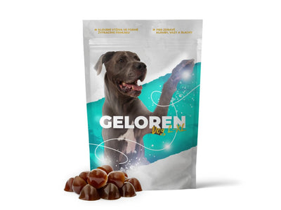 Geloren Dog L-XL 420g - žvýkací kostky na regeneraci kloubů